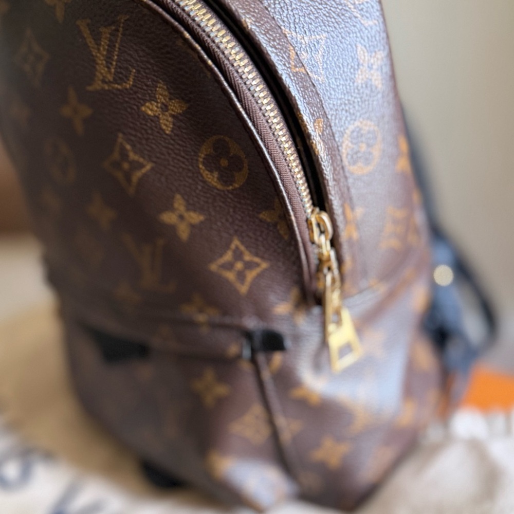 Louis Vuitton Palm Springs PM backpack - Picture 14 of 17